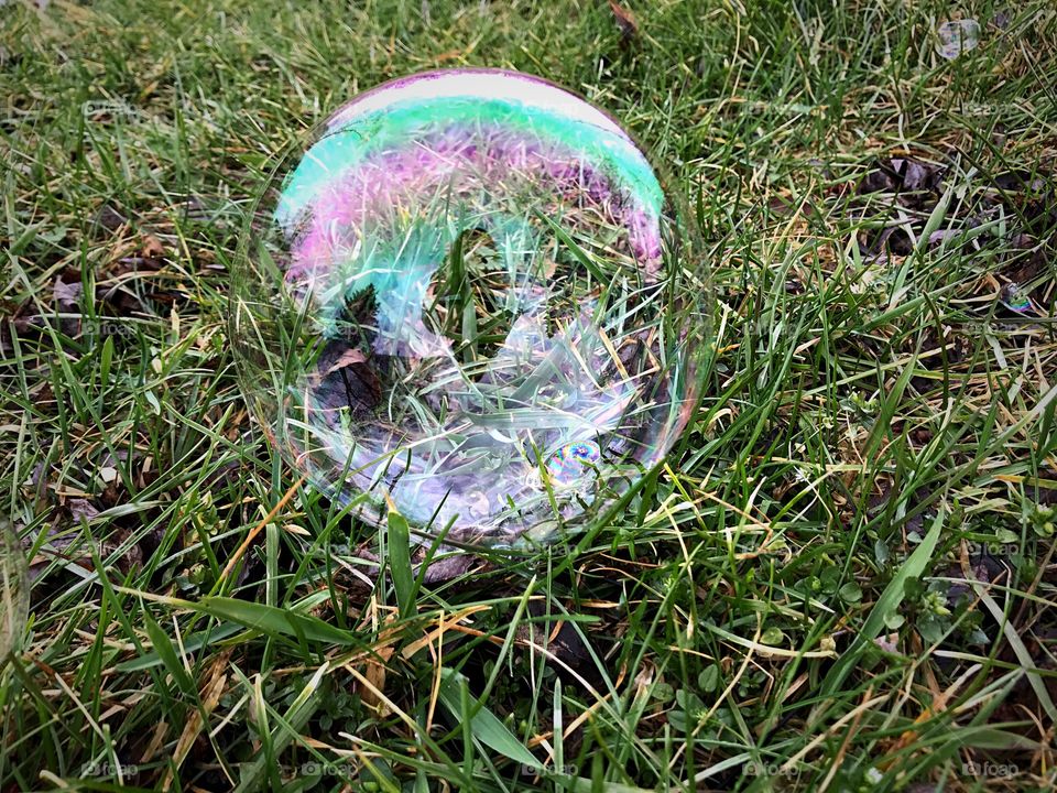 Reflection of grass in bubble