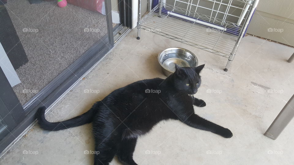 Could it get any better!