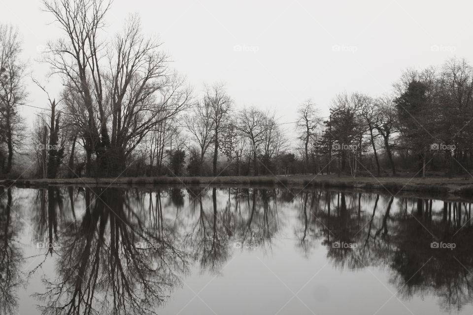 Editor’s Choice : Photo of The Week