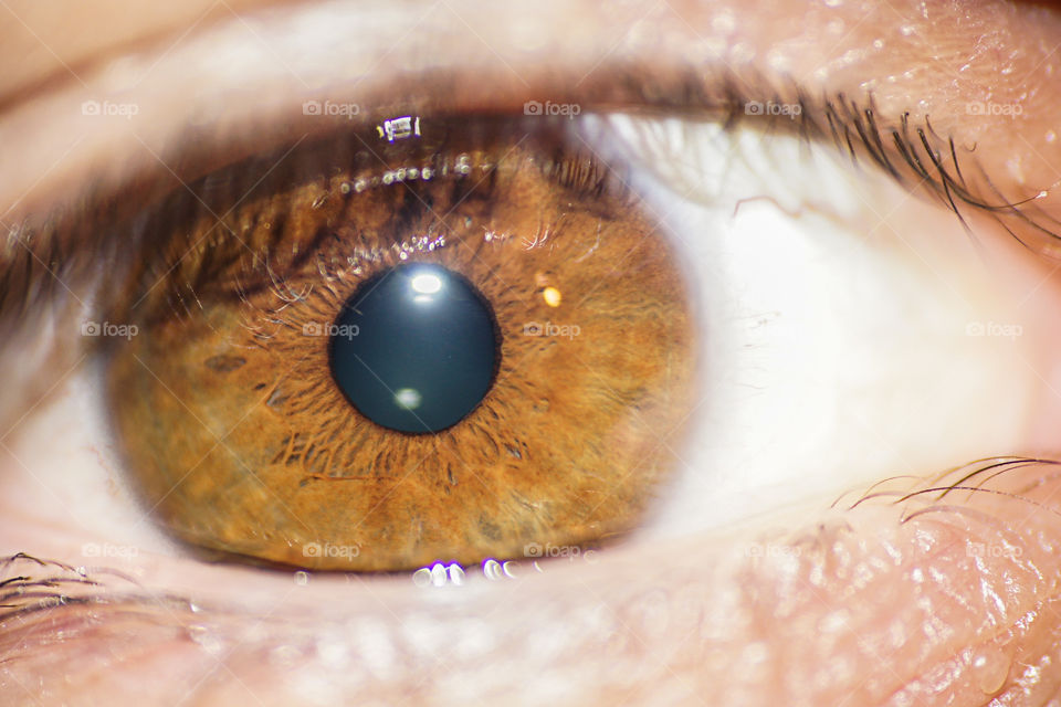 Close-of a human brown eye
