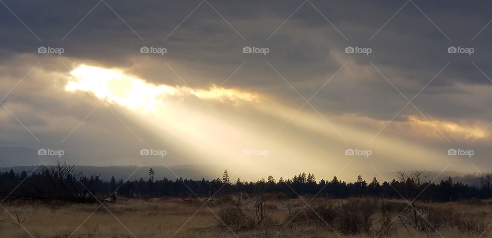 rays of heaven