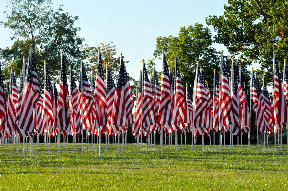 Flags