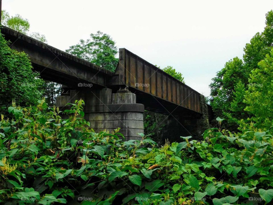 Train Trusses