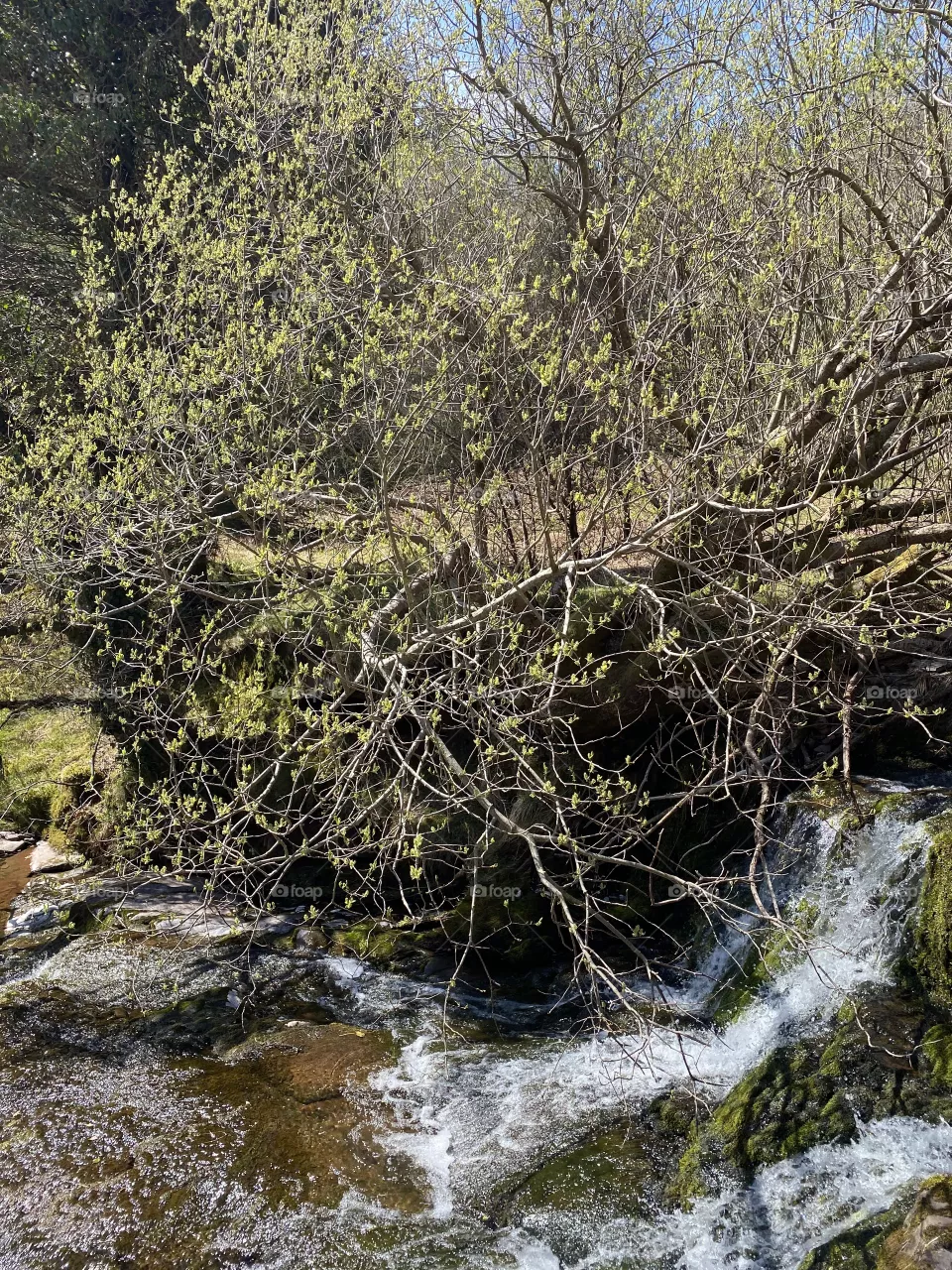 Waterfall