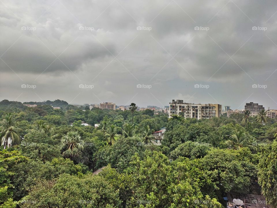 Rainy Weather ☔☁️
👁️👁️📷👁️
Awesome Flora🌱🍀🍀
Multistory Building 🏢🏢