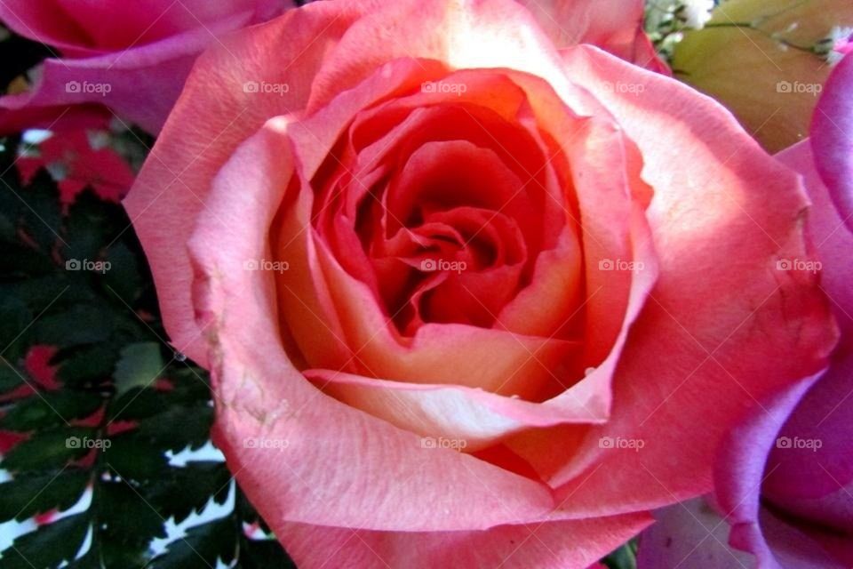 Finding the light in complete darkness.