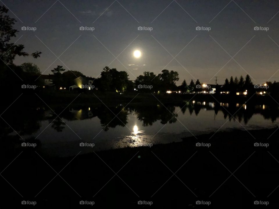 Moon Reflecting in Pond