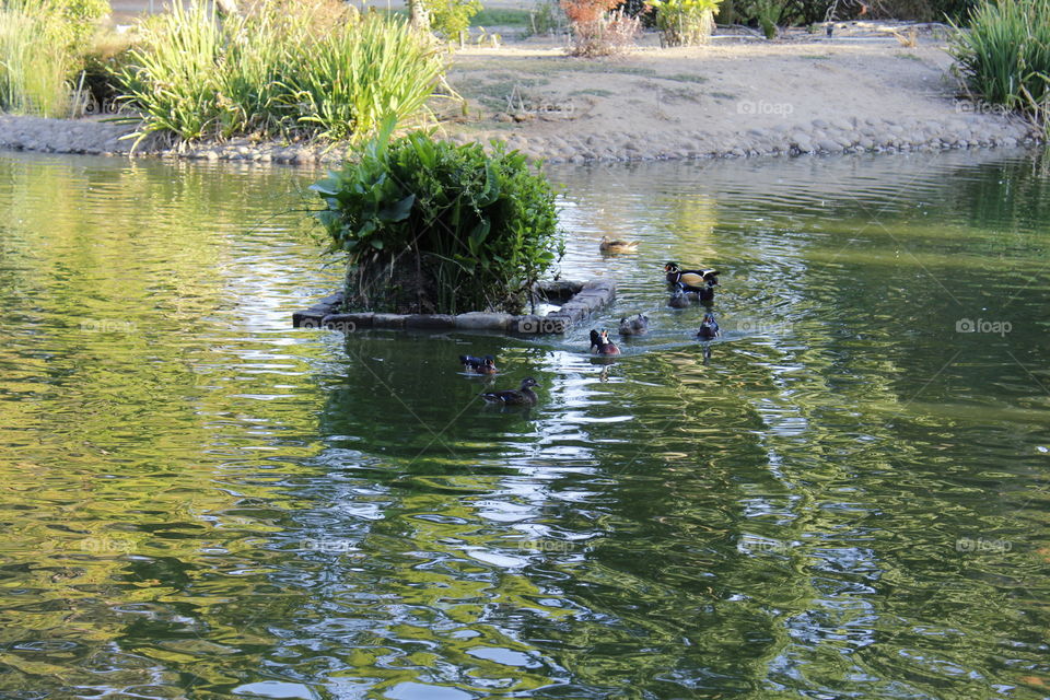 Water, River, No Person, Lake, Pool