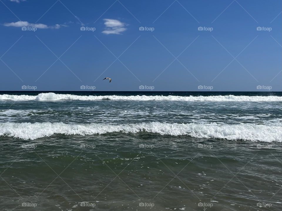 Seagull flying over the ocean waves. 