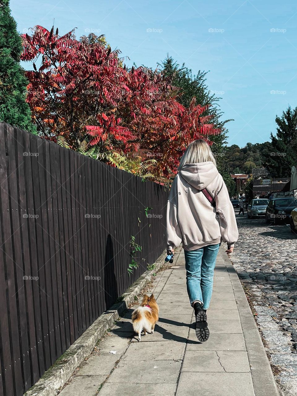 Walking with the dog