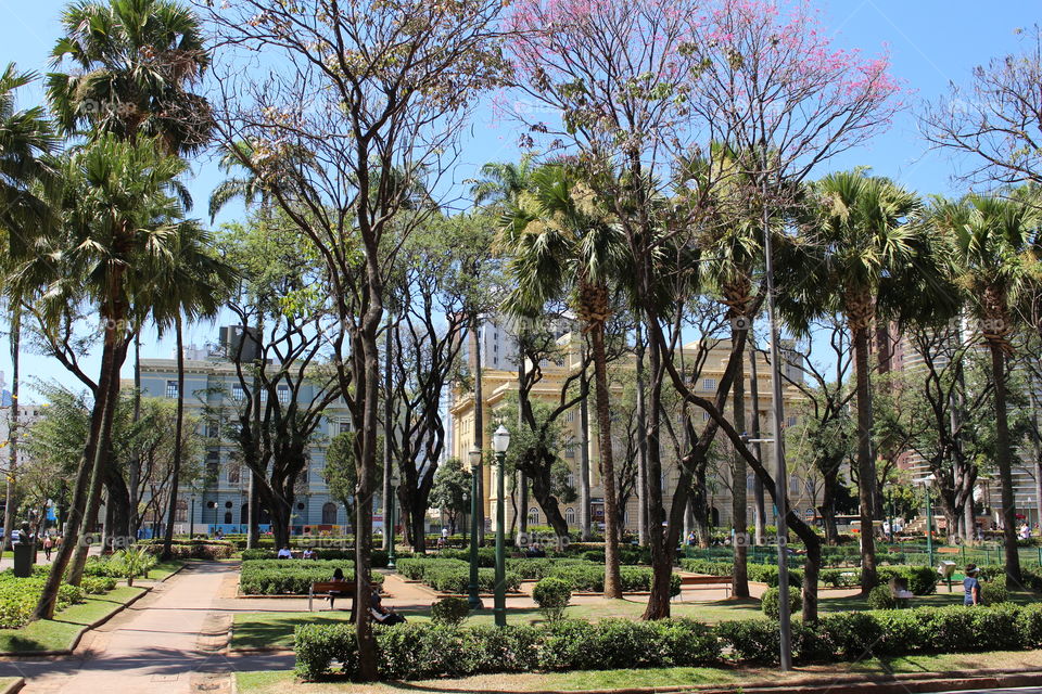 A beautiful sunny day in the park