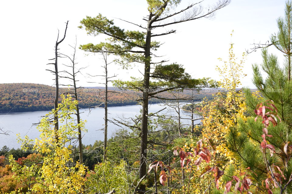 A view of Algonquin park in the fall