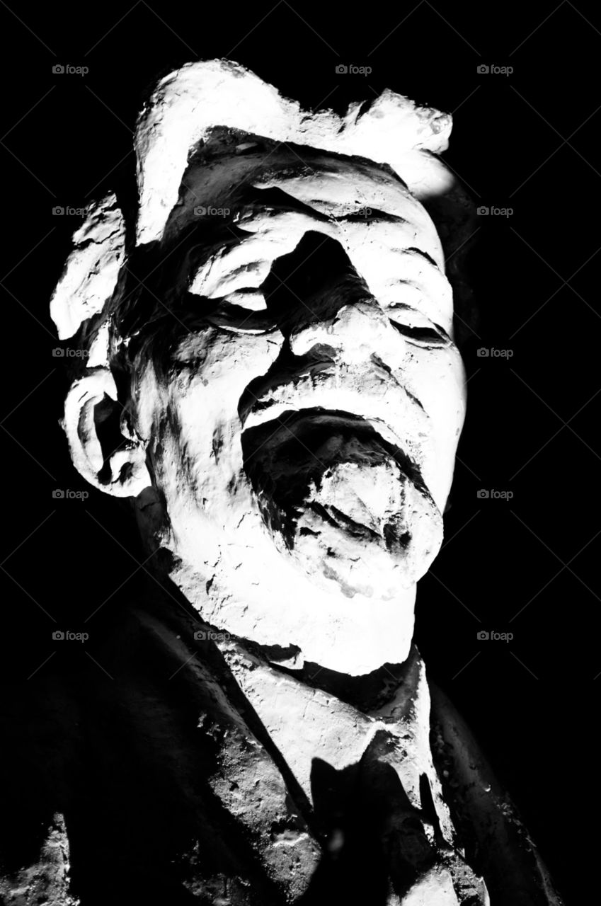 The head of the statue.