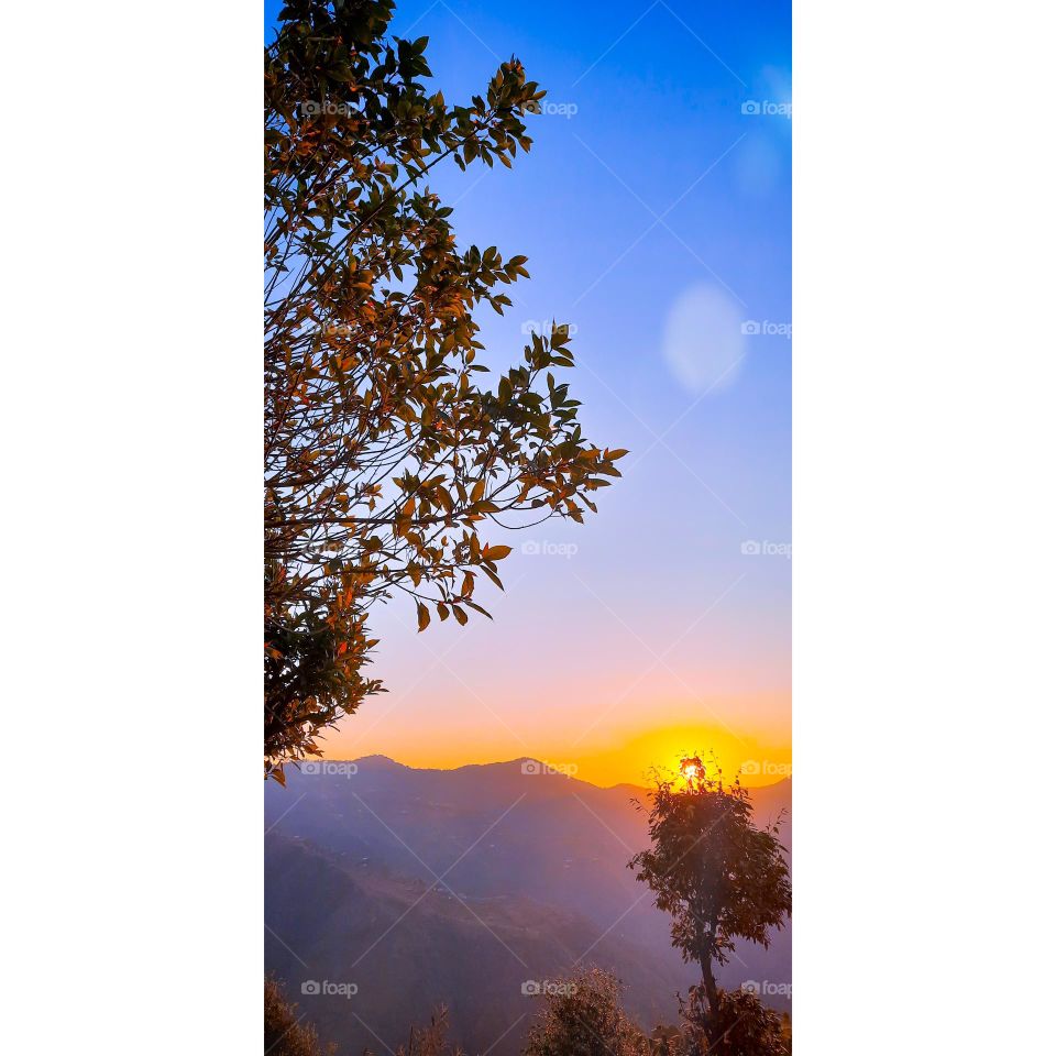 Editors' Choice: Photo of the week