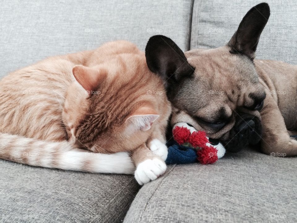 Quick nap after a long day