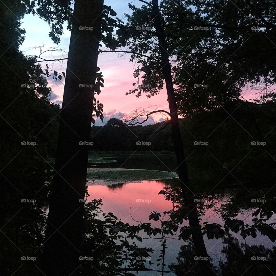 Up at 5:15 am and my early run was rewarded with this view 