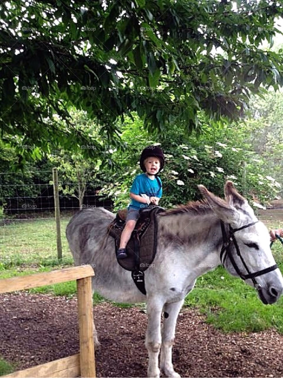 Small boy on donkey.