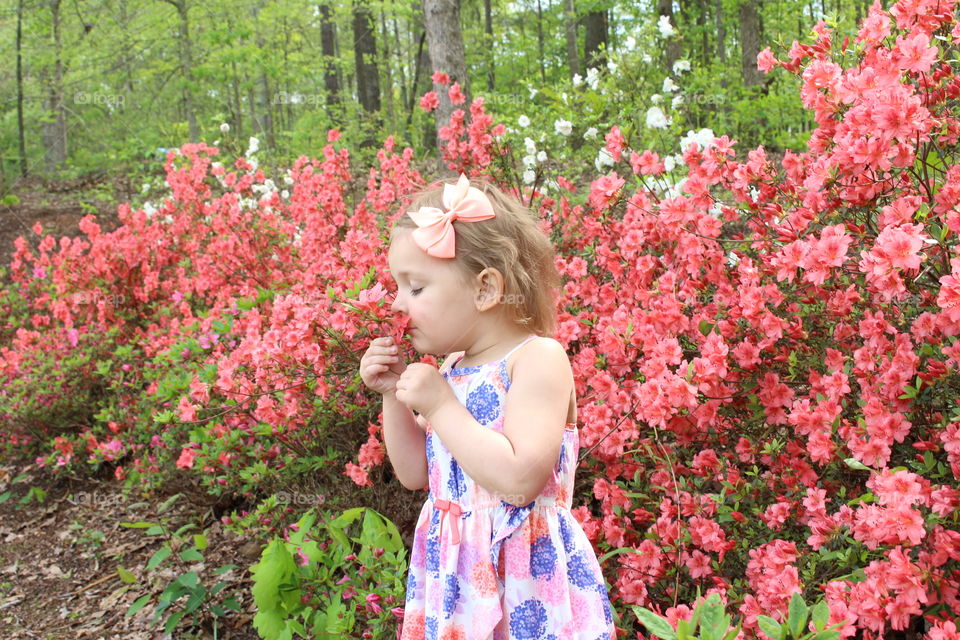 girl smelling flowers