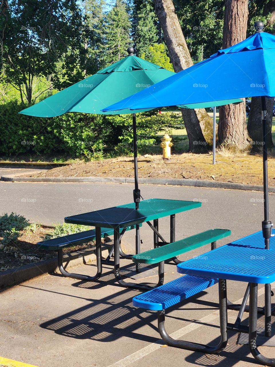 Colorful outdoor picnic tables in Oregon