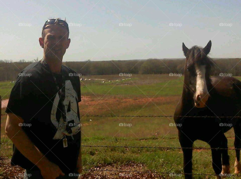 husband with horses