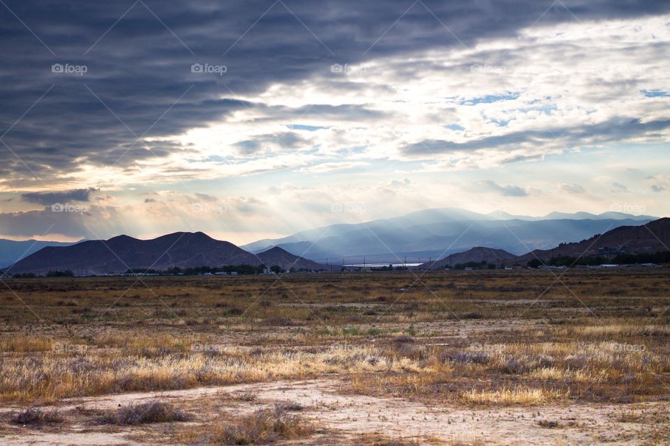 Scenic view of landscape