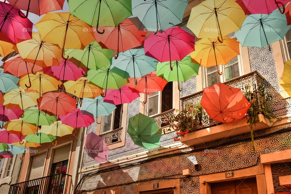 Umbrella color