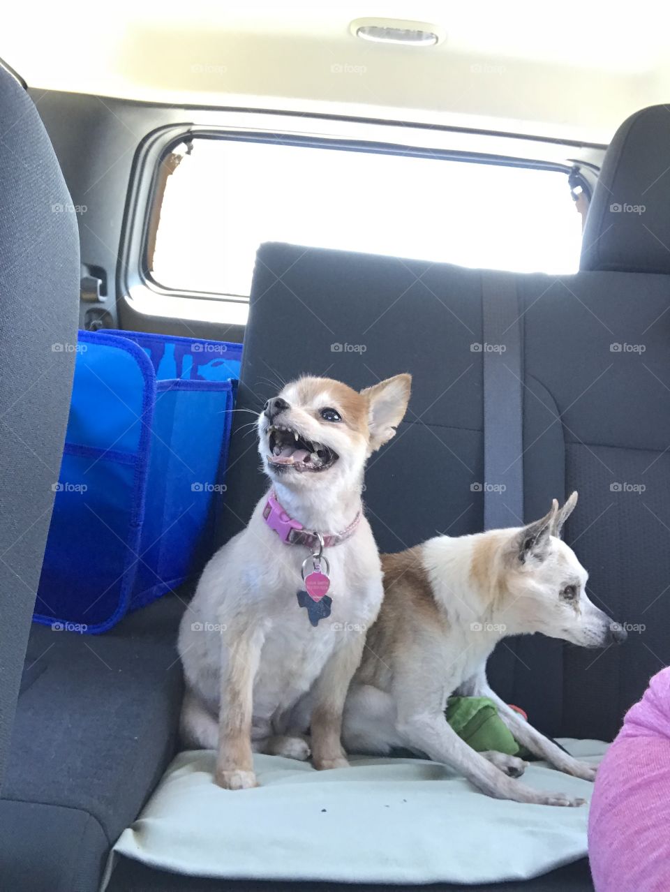 Baby girl after her haircut sitting with her 16 year old brother