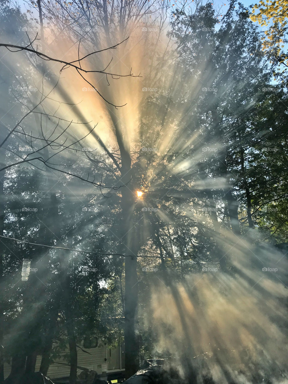 Sunlight in the smoke 