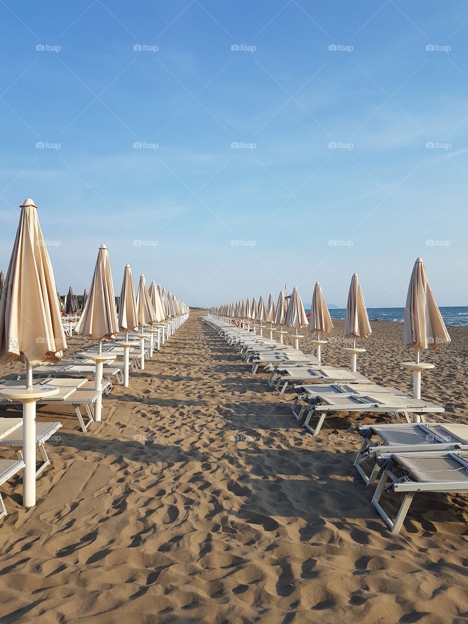 Sandy beach with rows of sun umbrellas in summer