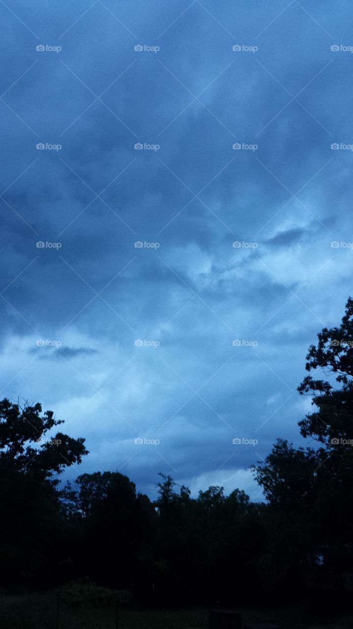 Evening Sky. Clouds