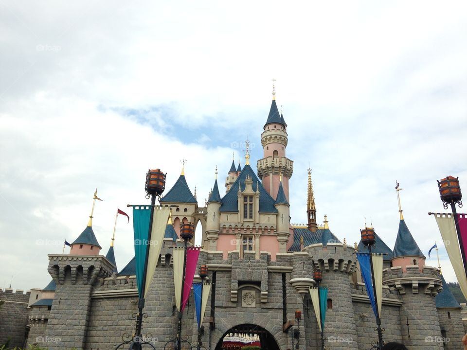 Disneyland Resort Castle