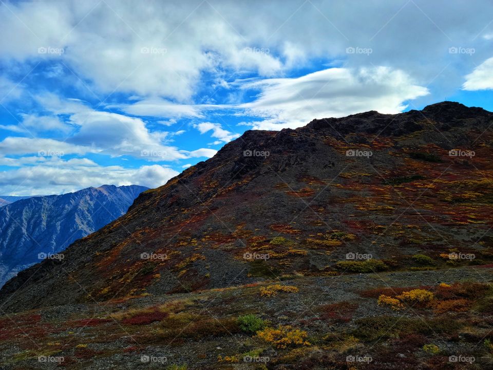 The mountainside explodes in red orange and yellow fall colors!
