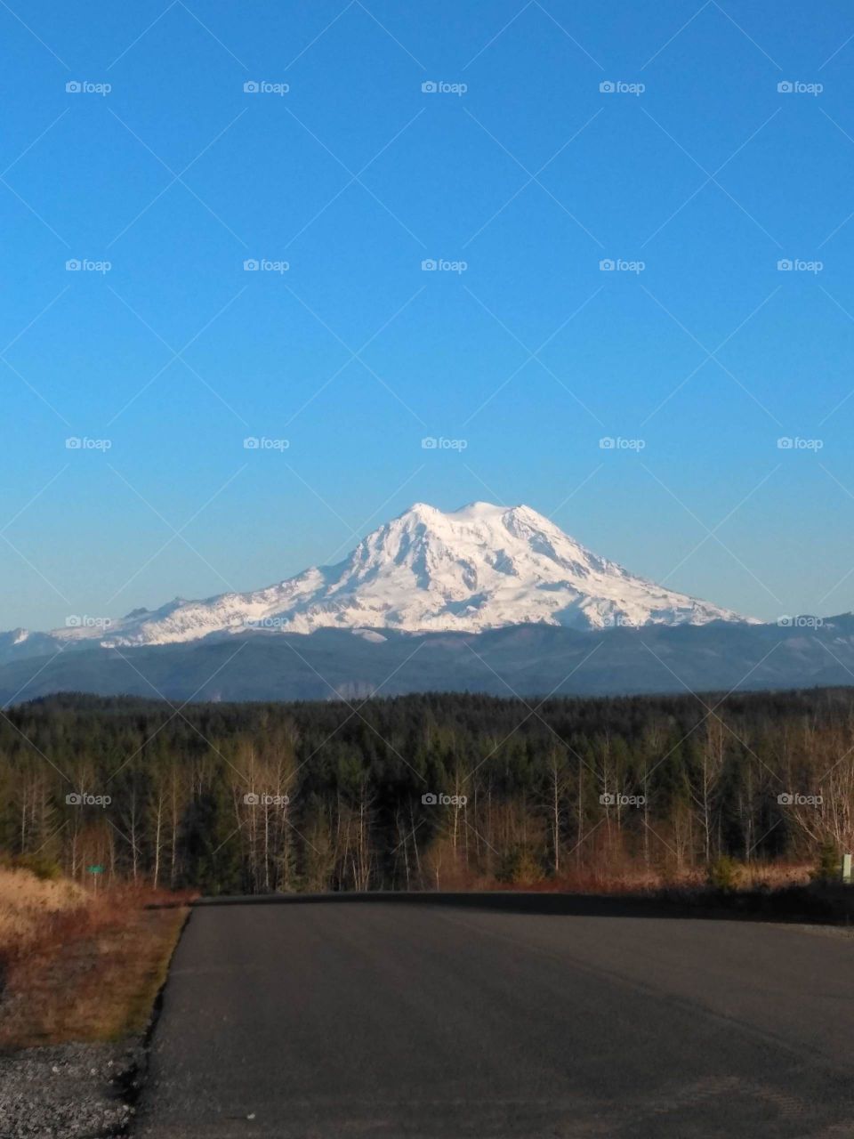 mt ranier