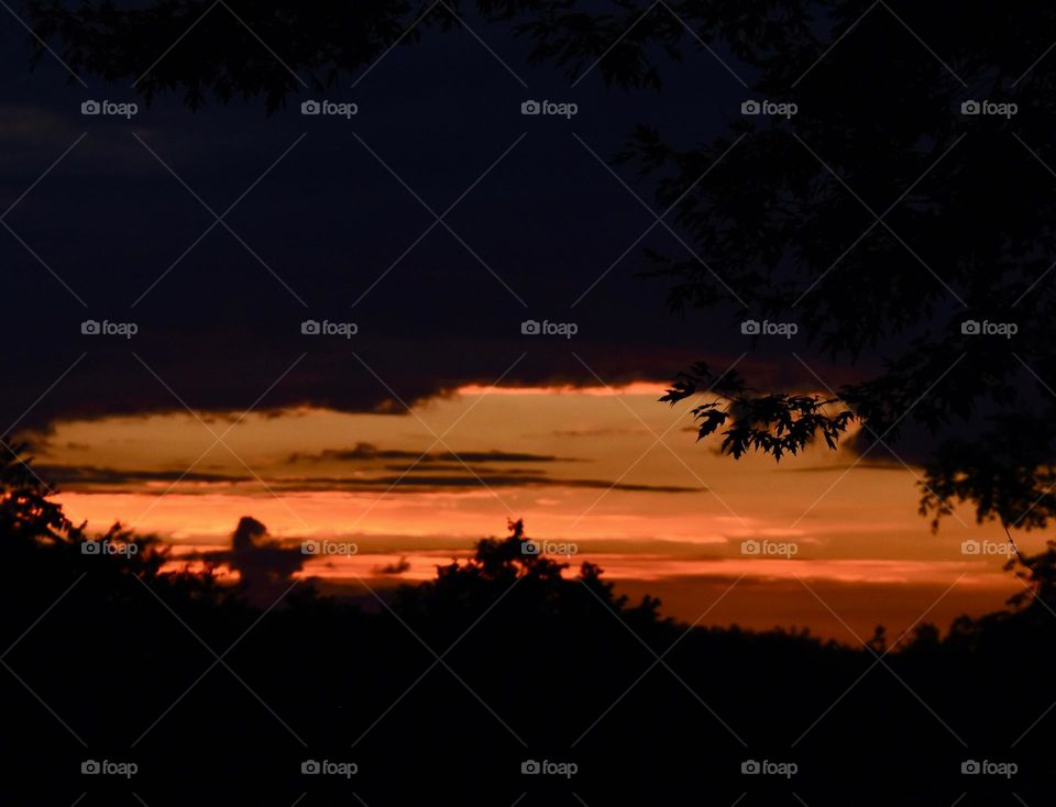 Sunset peeking through the trees and the night sky 