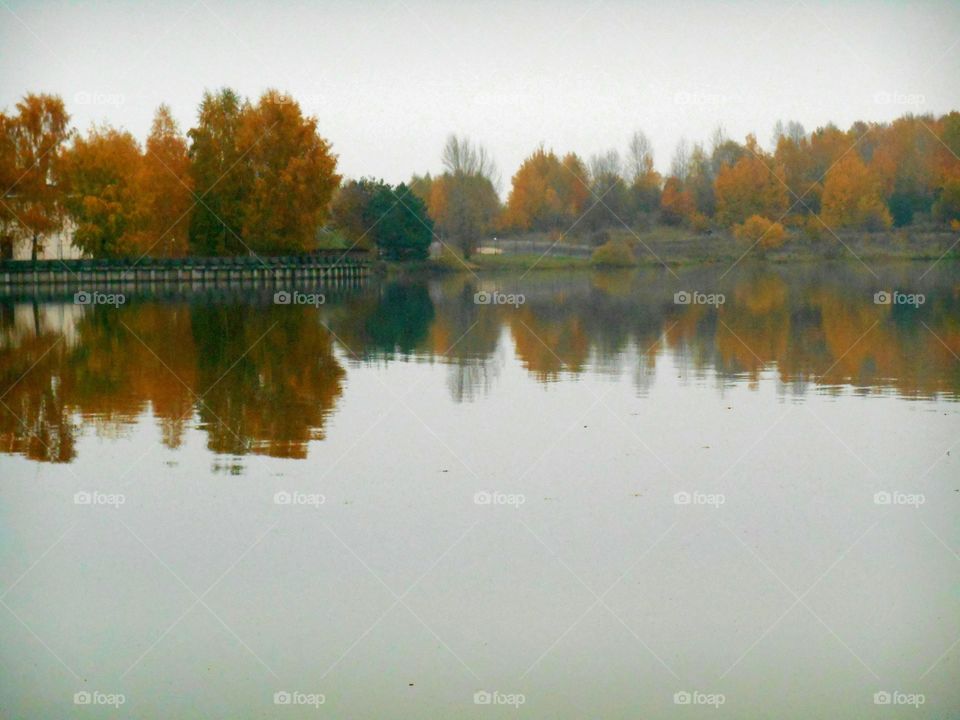 Reflection of autumn trees on lake