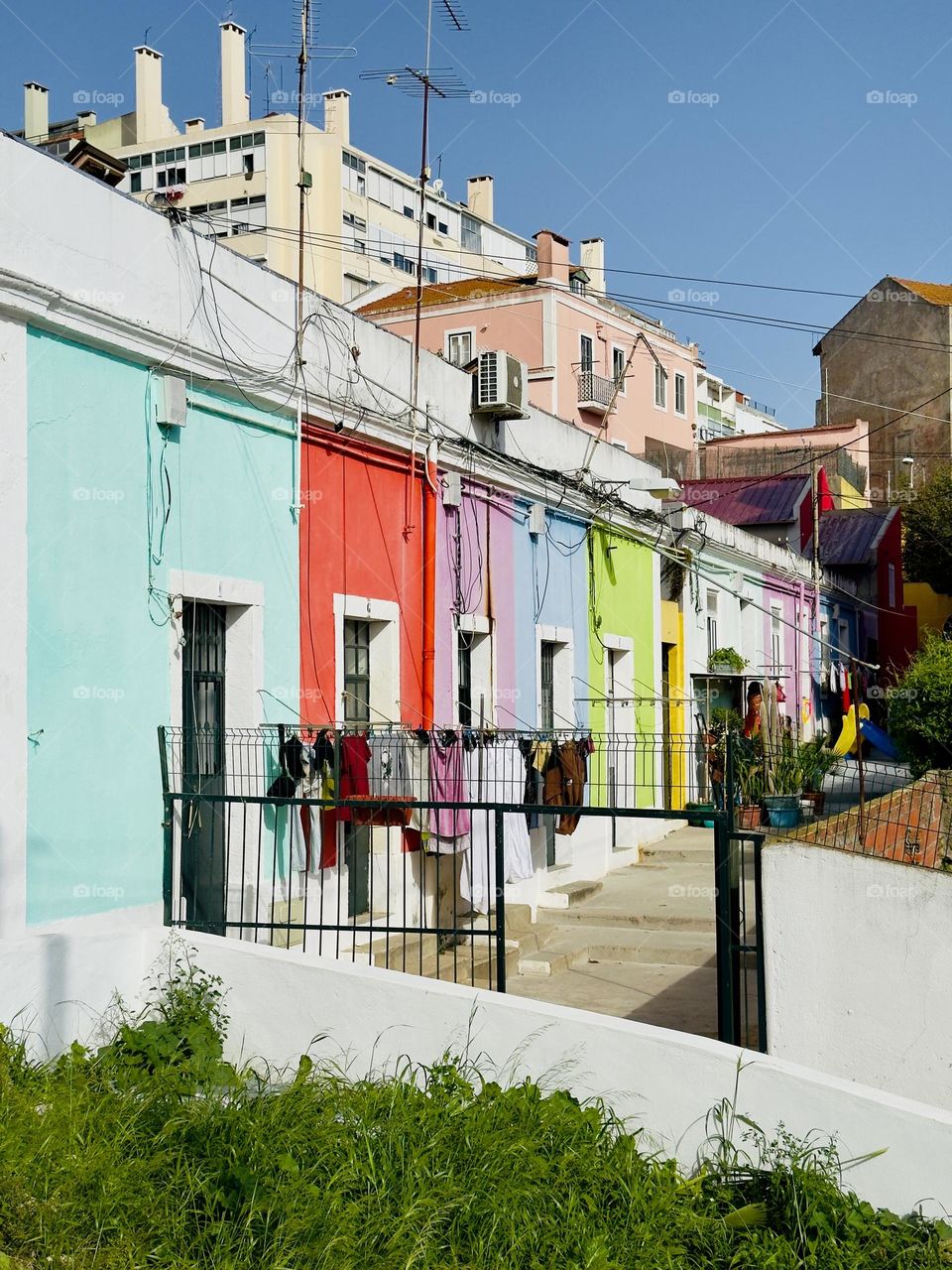 You’ll always find something surprising in Lisbon😺