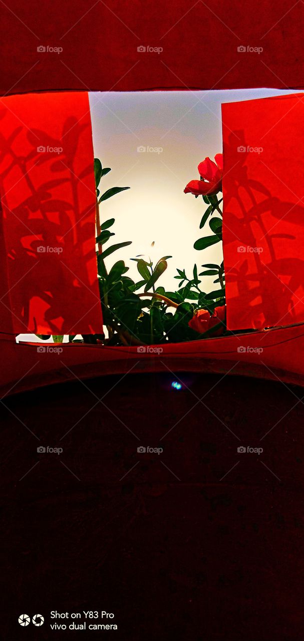 #foap #infoapartemen #foapjuly18 #foapaug18 #foapfeb18 #foapapril17 #foapers #foapjune18 #fotografoaprendiz #sfoapprentices #foaper #infoapartment #foapmission #foapmay18 #foapapr18 #foapit #infoaplikasipaytren #infoapple #foapom #foapjan19 #infoapp