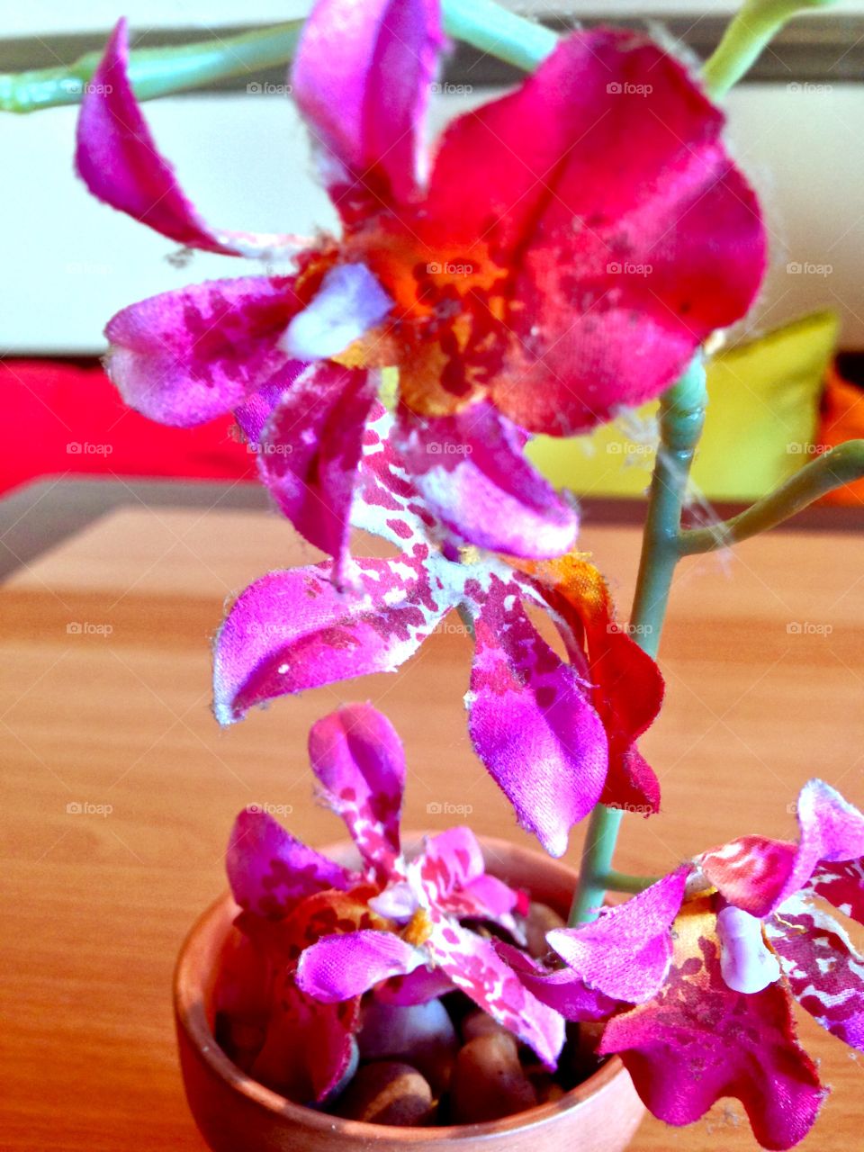 Central Red

Published by:
HappyBrownMonkey 