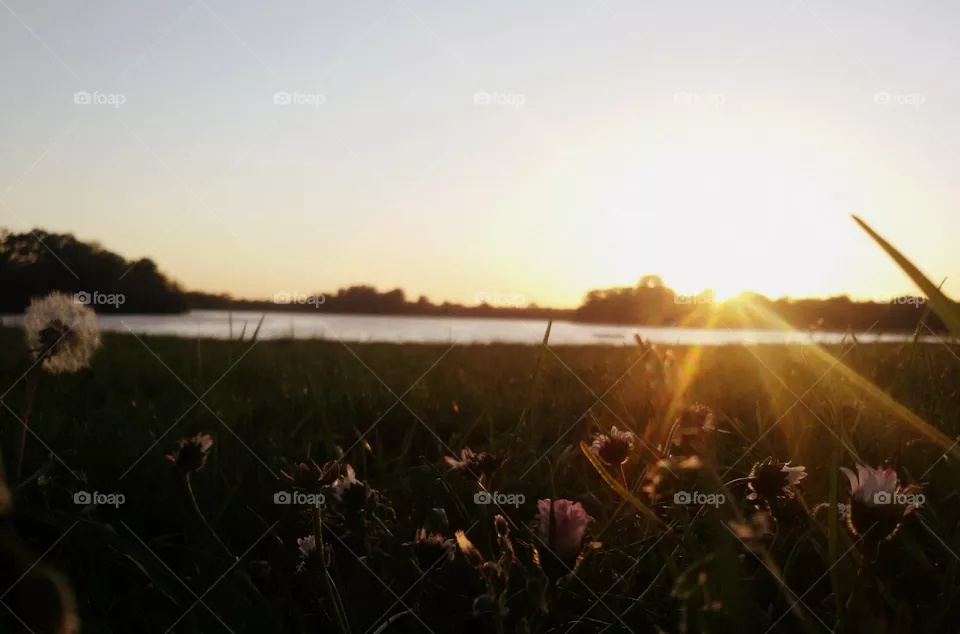 sunset