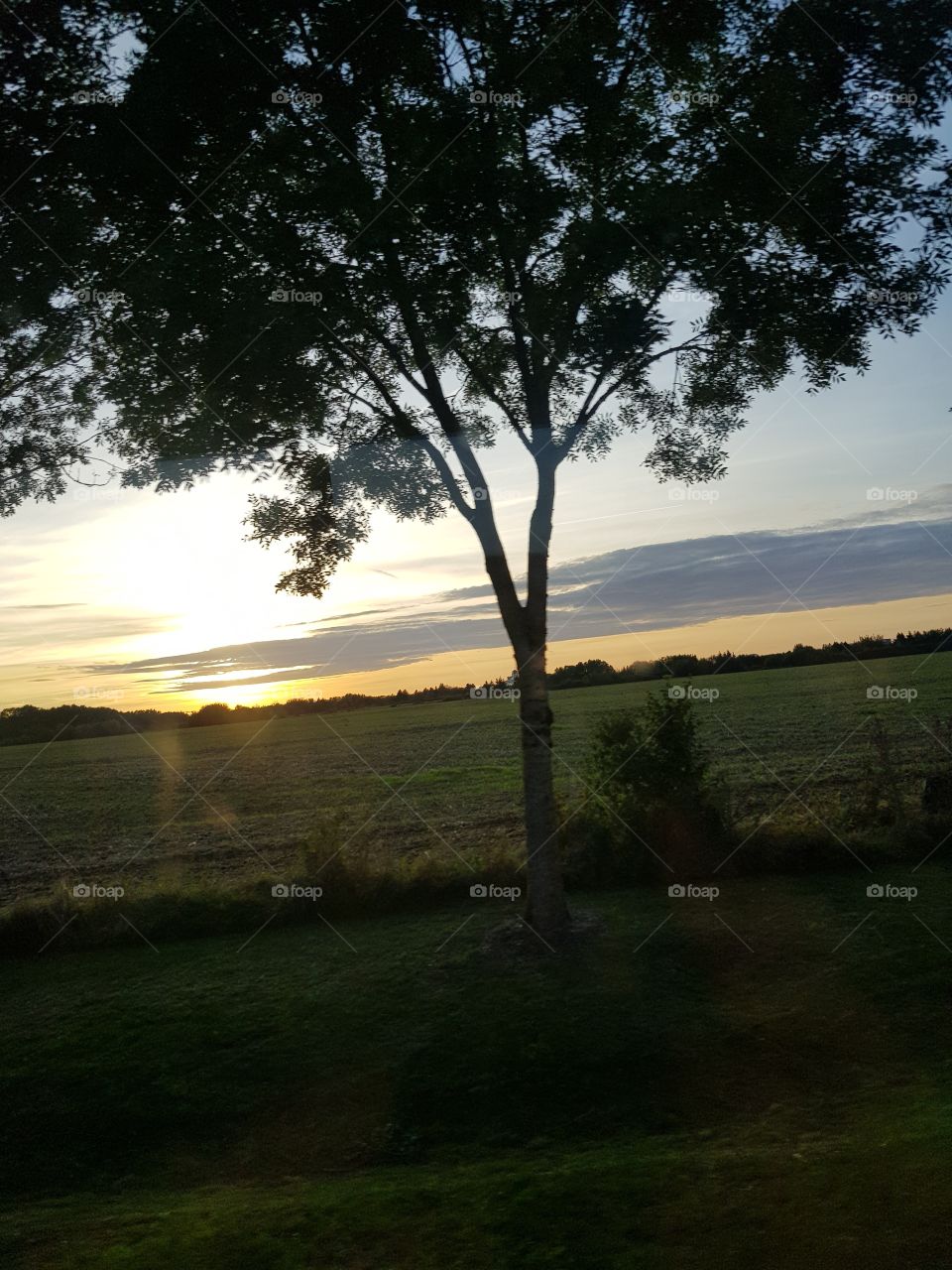 sunset seen from the bus