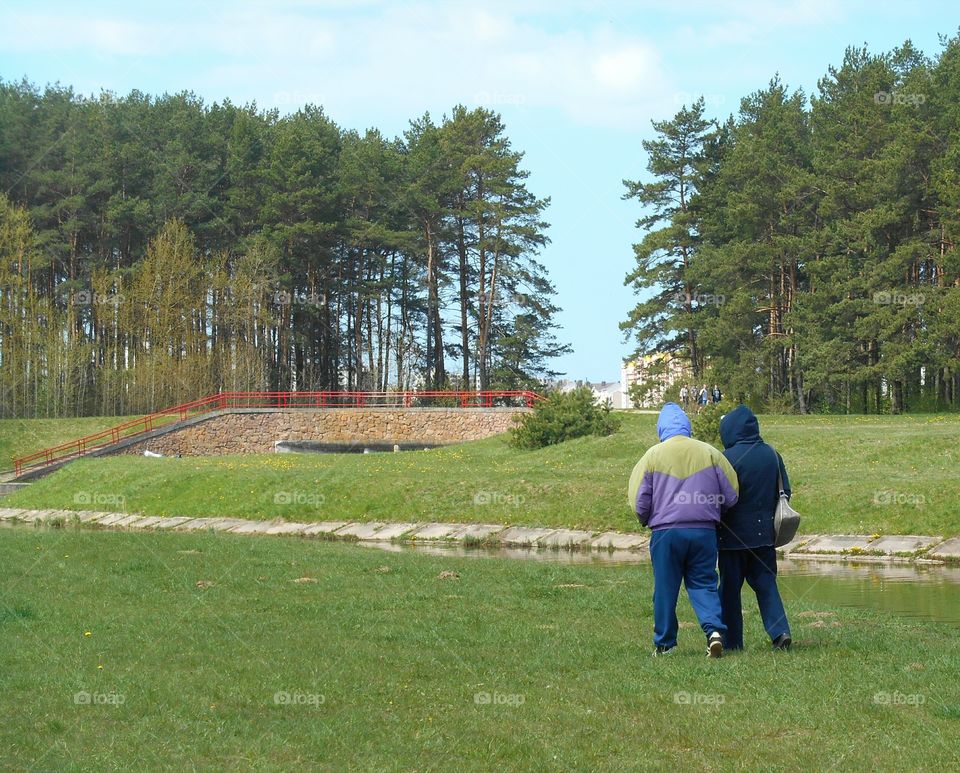 Landscape, Tree, Recreation, Wood, People