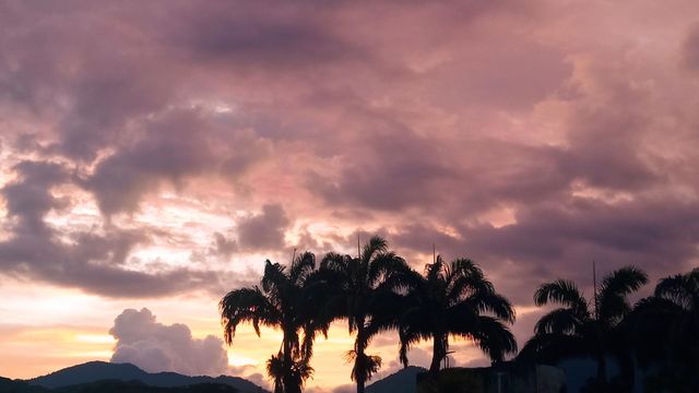 beautiful sunset