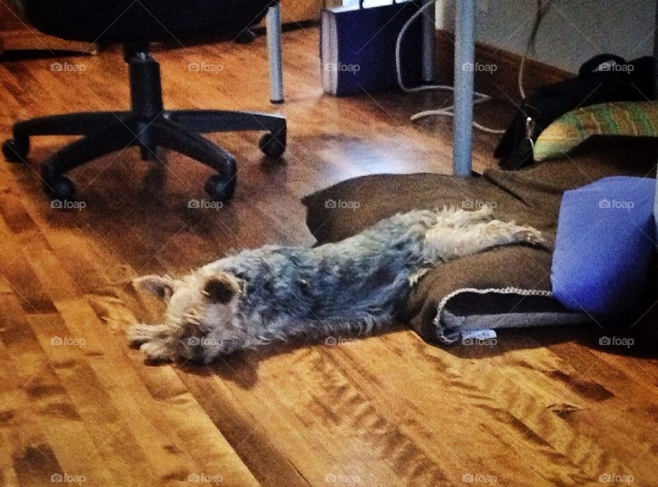 Having it both ways..cool floor