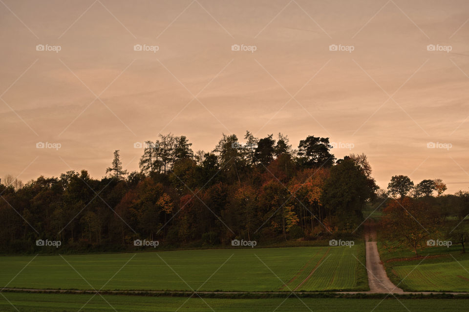 early autumn morning in the countryside