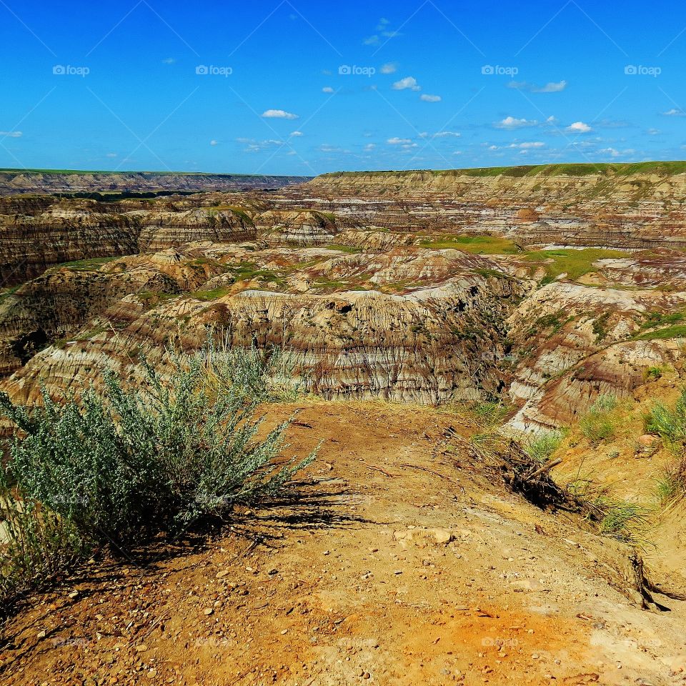 Dry hills like desert plains 