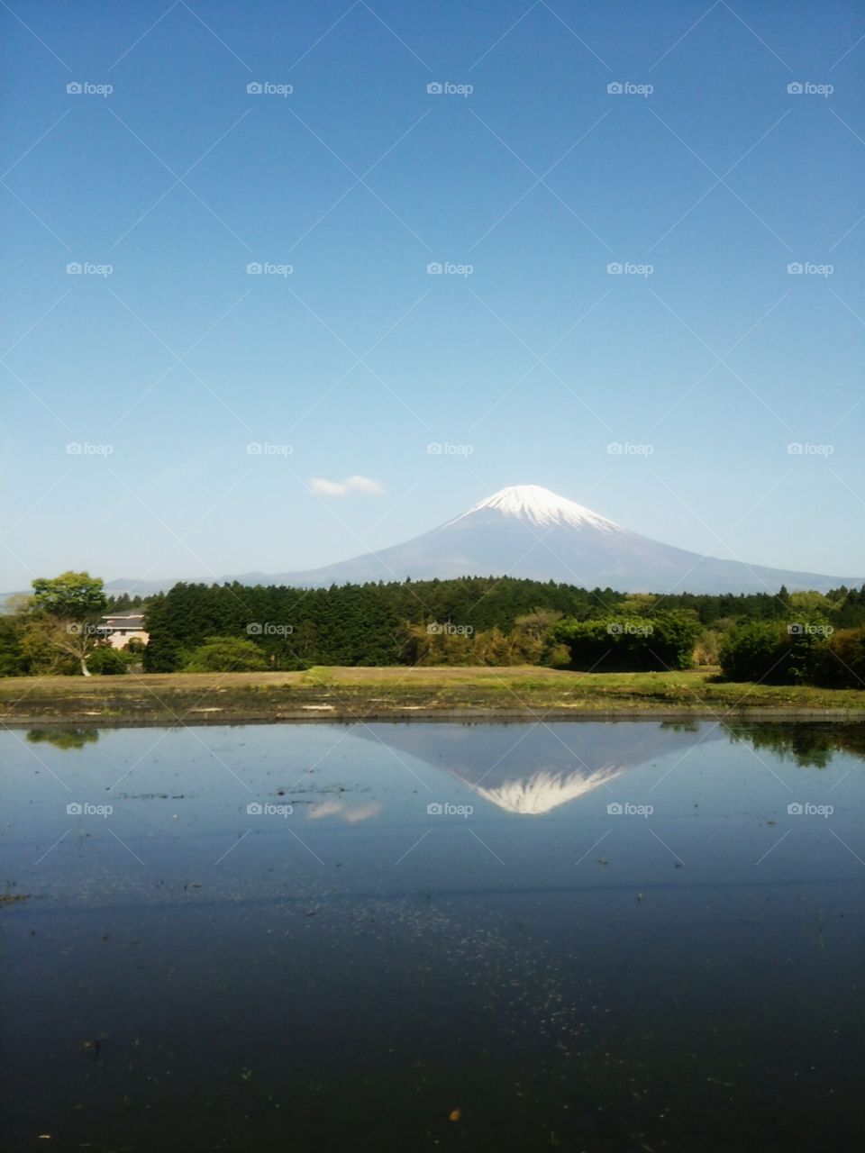 MT. fuji