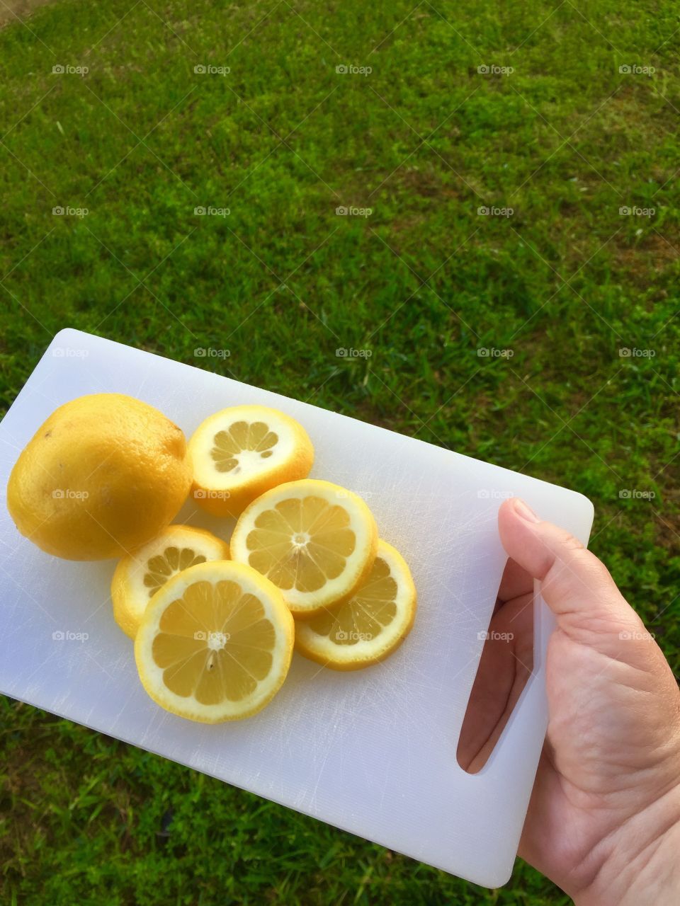 Sliced lemons