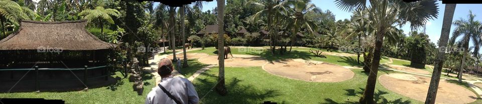 Bali elephant park 