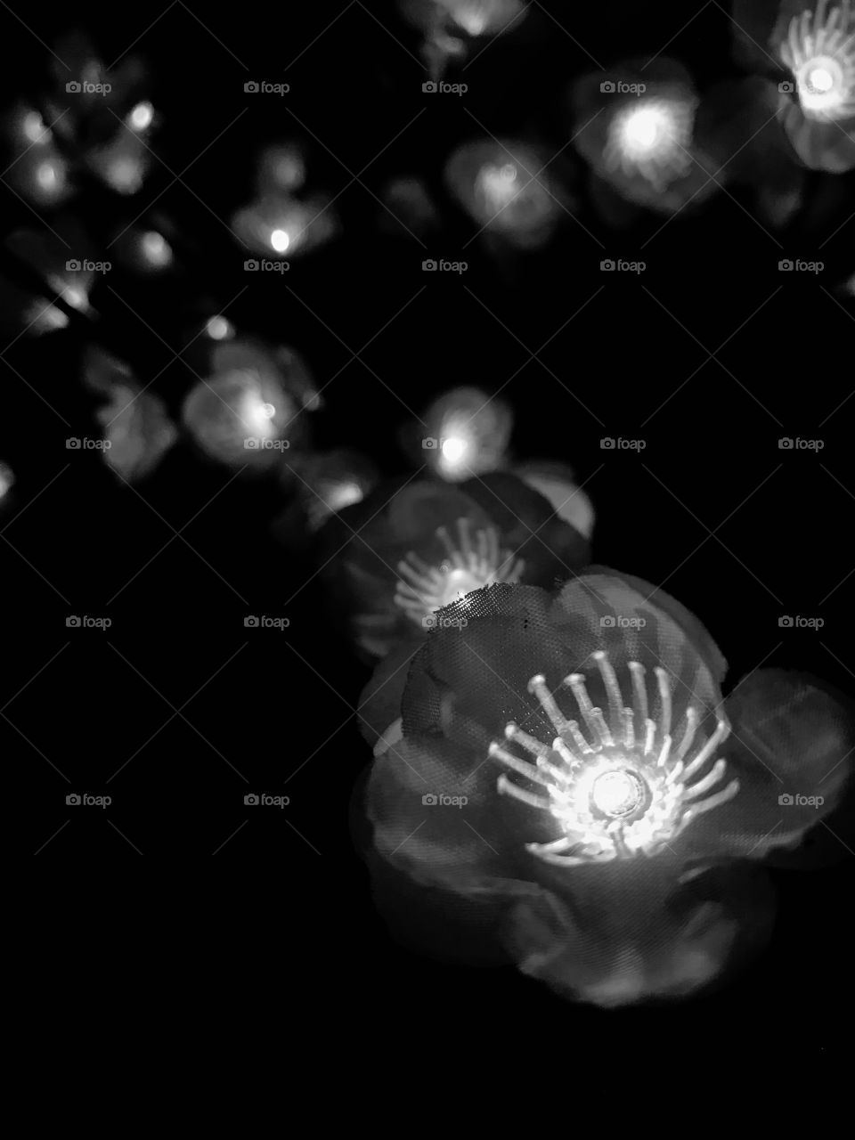 A set up of lights that glowed positivity in the dark. 