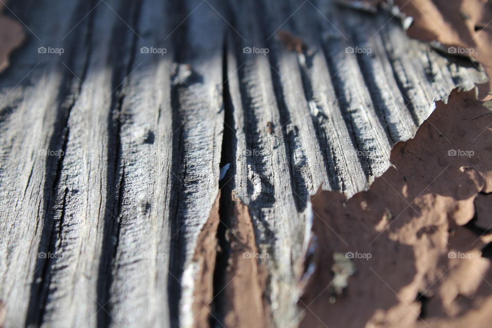 old wood paint peeling
